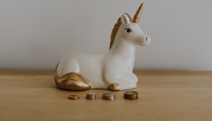 toy unicorn coins